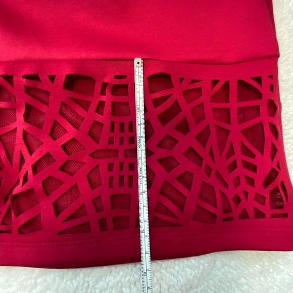 Thalia Sodi Deep Rose Red Skirt with Windowpane & Mesh Detail at Bottom - Picture 8 of 10